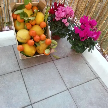 Domus Mare Holiday House Dom wakacyjny